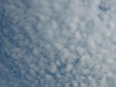 Cloud Cover