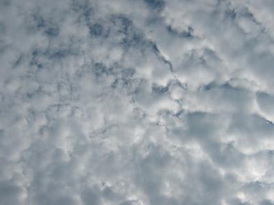 Cloud Cover