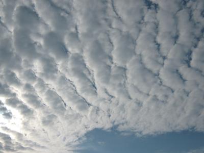 Cloud Texture