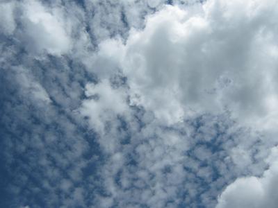 Cumulus Cloud