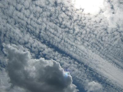 Cumulus Cloud