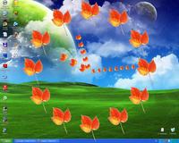 Autumn time
