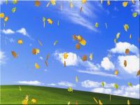 3D leaves