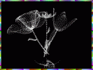 3D_Ikebana ScreenSaver