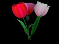 3d flowers screensaver
