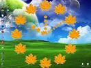 leaf clock screensaver