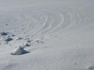 Snow waves