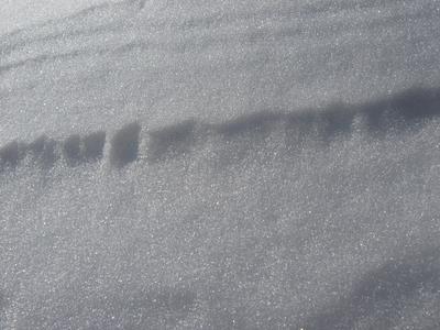Just snow